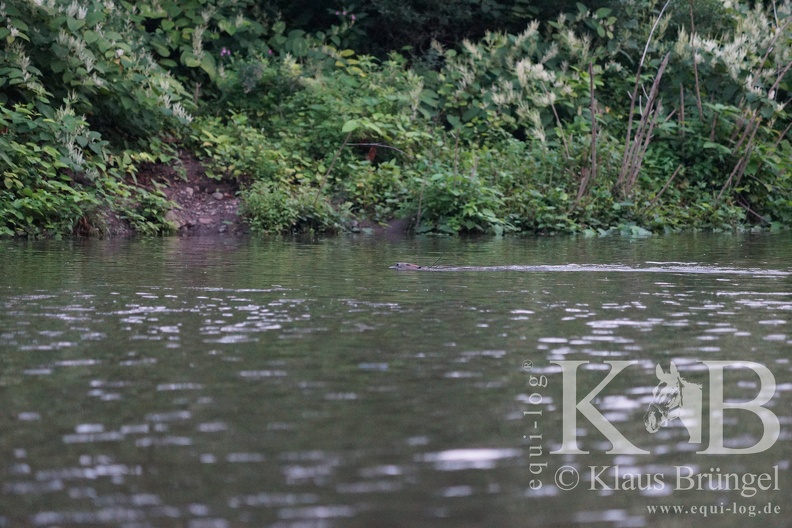 2023-09-02-FS 0035BC