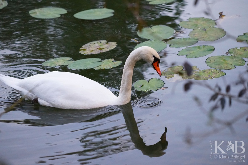 2023-10-07-Lahnstein-Lahn 0044bc