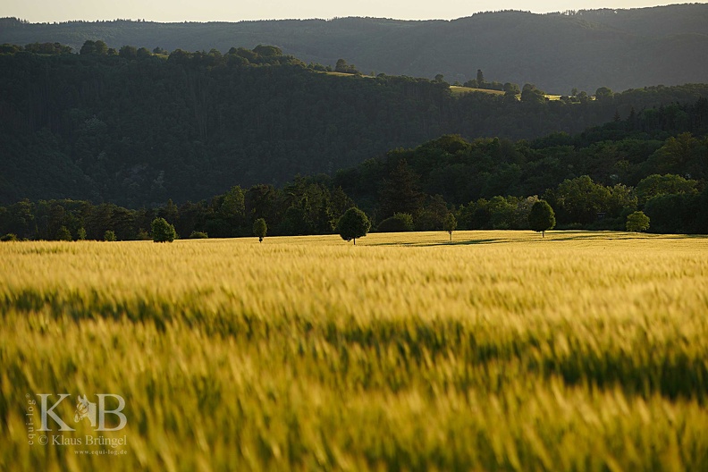 2025-05-16-Fruecht 0006bc-k