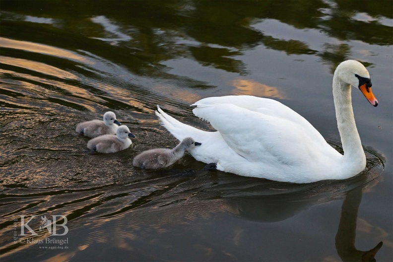 2025-05-01-Lahn 0049bc-k