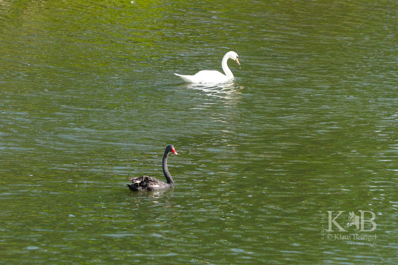 2025-06-09-Mosel 0014bc-k